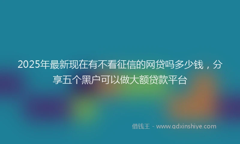 2025年最新现在有不看征信的网贷吗多少钱，分享五个黑户可以做大额贷款平台
