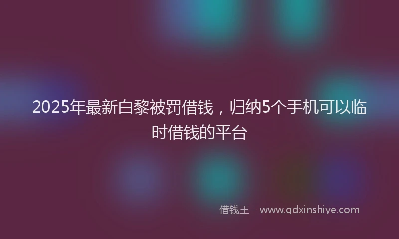 2025年最新白黎被罚借钱，归纳5个手机可以临时借钱的平台