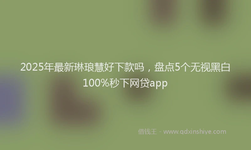 2025年最新琳琅慧好下款吗，盘点5个无视黑白100%秒下网贷app