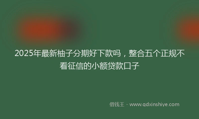 2025年最新柚子分期好下款吗，整合五个正规不看征信的小额贷款口子
