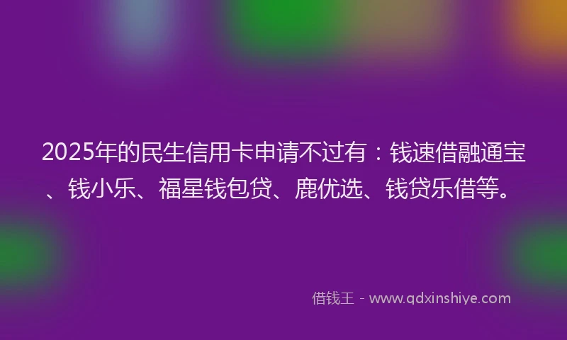 2025年的民生信用卡申请不过有：钱速借融通宝、钱小乐、福星钱包贷、鹿优选、钱贷乐借等。