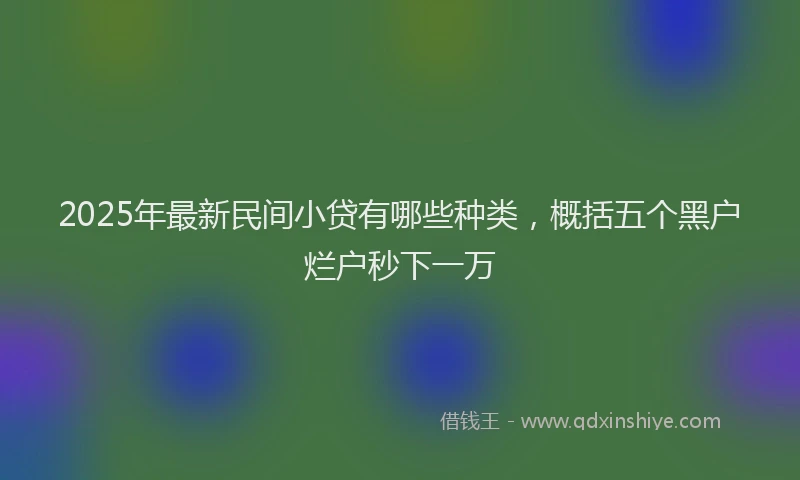 2025年最新民间小贷有哪些种类，概括五个黑户烂户秒下一万
