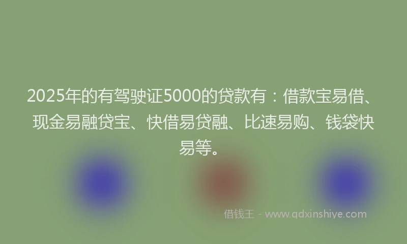 2025年的有驾驶证5000的贷款有：借款宝易借、现金易融贷宝、快借易贷融、比速易购、钱袋快易等。
