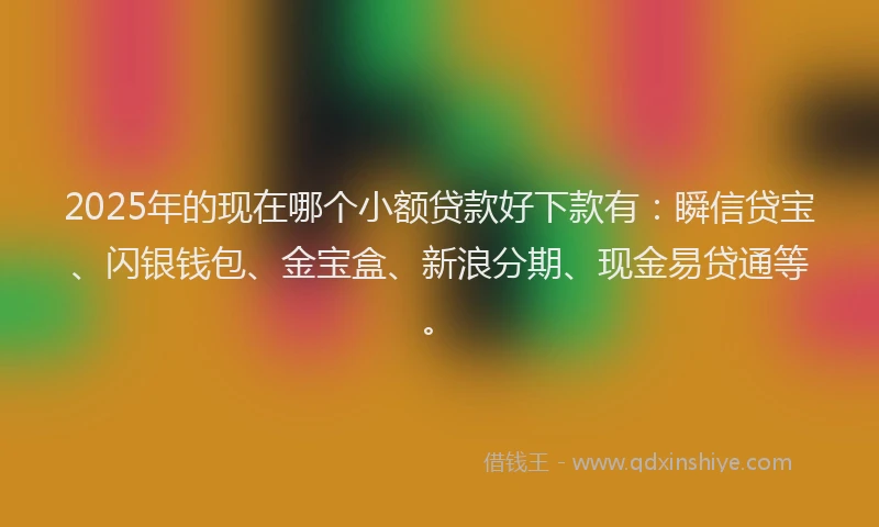 2025年的现在哪个小额贷款好下款有：瞬信贷宝、闪银钱包、金宝盒、新浪分期、现金易贷通等。