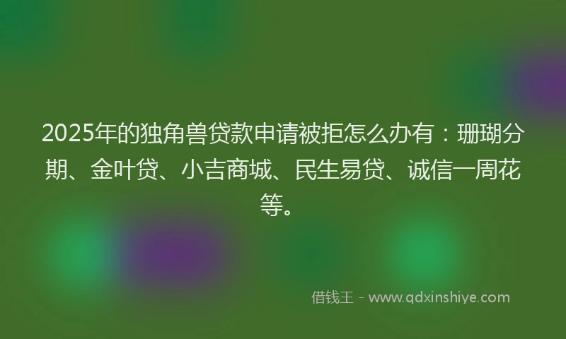 2025年的独角兽贷款申请被拒怎么办有：珊瑚分期、金叶贷、小吉商城、民生易贷、诚信一周花等。