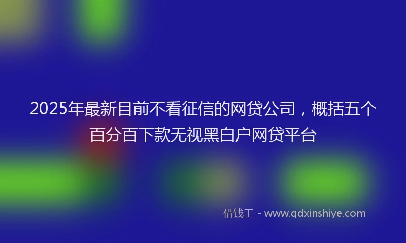 2025年最新目前不看征信的网贷公司，概括五个百分百下款无视黑白户网贷平台