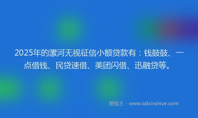 2025年的漯河无视征信小额贷款有：钱鼓鼓、一点借钱、民贷速借、美团闪借、迅融贷等。