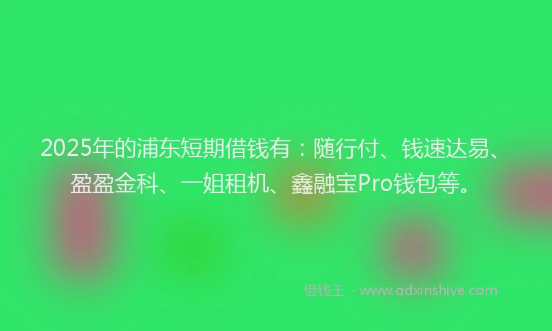 2025年的浦东短期借钱有：随行付、钱速达易、盈盈金科、一姐租机、鑫融宝Pro钱包等。