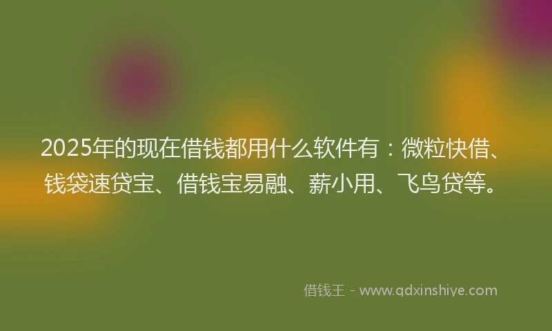 2025年的现在借钱都用什么软件有:微粒快借、钱袋速贷宝、借钱宝易融、薪小用、飞鸟贷等。