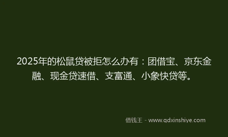 2025年的松鼠贷被拒怎么办有：团借宝、京东金融、现金贷速借、支富通、小象快贷等。