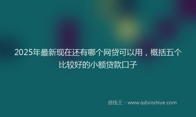 2025年最新现在还有哪个网贷可以用，概括五个比较好的小额贷款口子