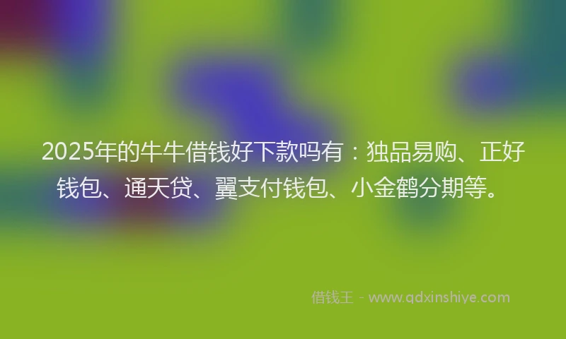 2025年的牛牛借钱好下款吗有：独品易购、正好钱包、通天贷、翼支付钱包、小金鹤分期等。