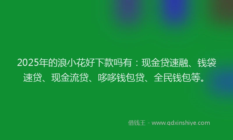 2025年的浪小花好下款吗有：现金贷速融、钱袋速贷、现金流贷、哆哆钱包贷、全民钱包等。