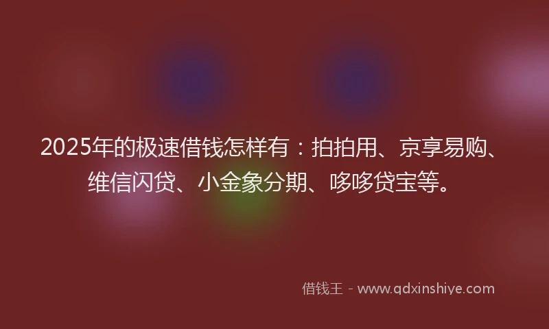 2025年的极速借钱怎样有：拍拍用、京享易购、维信闪贷、小金象分期、哆哆贷宝等。