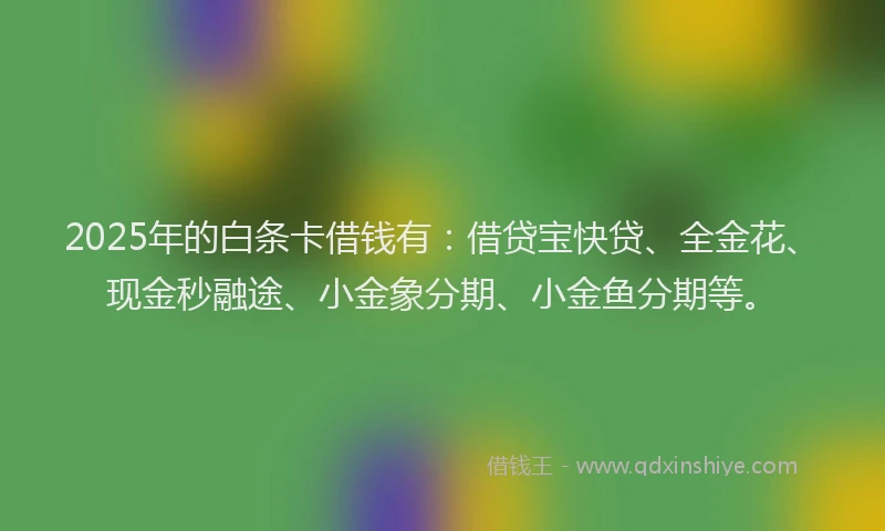 2025年的白条卡借钱有：借贷宝快贷、全金花、现金秒融途、小金象分期、小金鱼分期等。