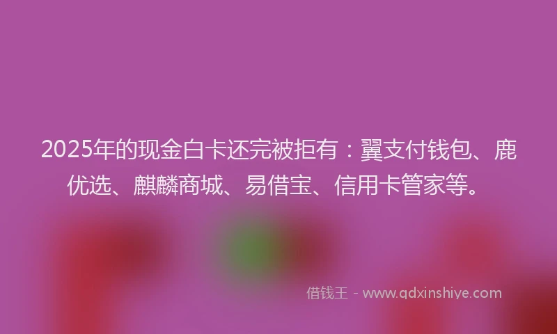 2025年的现金白卡还完被拒有：翼支付钱包、鹿优选、麒麟商城、易借宝、信用卡管家等。