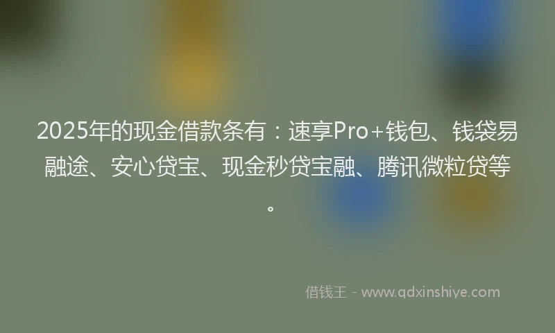 2025年的现金借款条有：速享Pro+钱包、钱袋易融途、安心贷宝、现金秒贷宝融、腾讯微粒贷等。