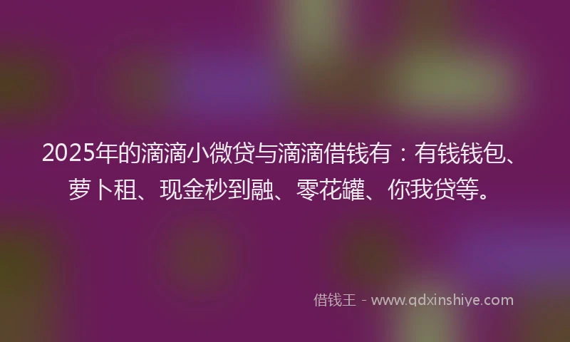 2025年的滴滴小微贷与滴滴借钱有：有钱钱包、萝卜租、现金秒到融、零花罐、你我贷等。