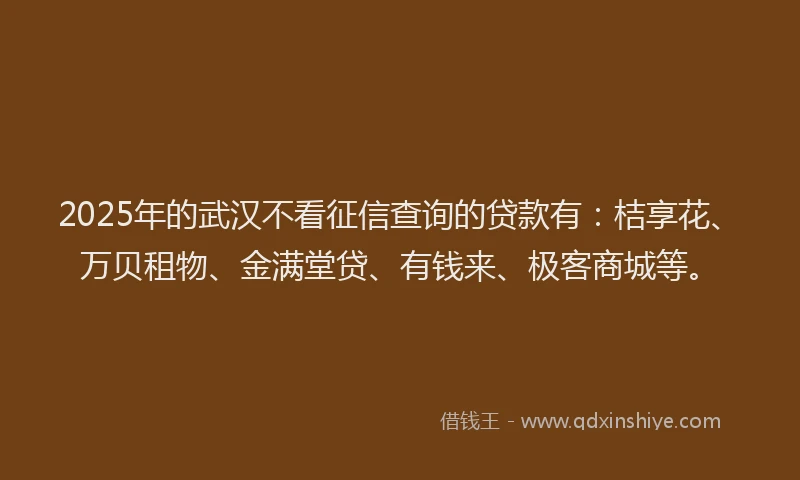 2025年的武汉不看征信查询的贷款有：桔享花、万贝租物、金满堂贷、有钱来、极客商城等。