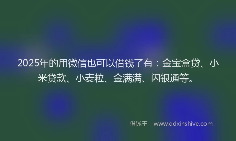 2025年的用微信也可以借钱了有：金宝盒贷、小米贷款、小麦粒、金满满、闪银通等。