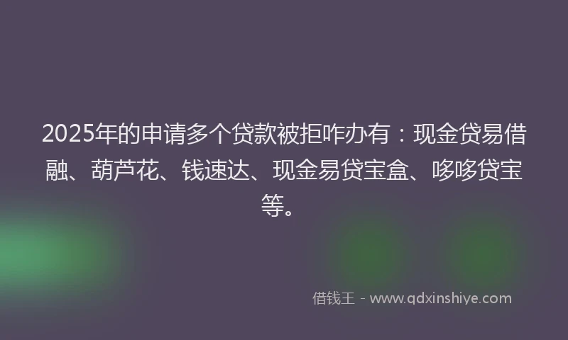 2025年的申请多个贷款被拒咋办有：现金贷易借融、葫芦花、钱速达、现金易贷宝盒、哆哆贷宝等。
