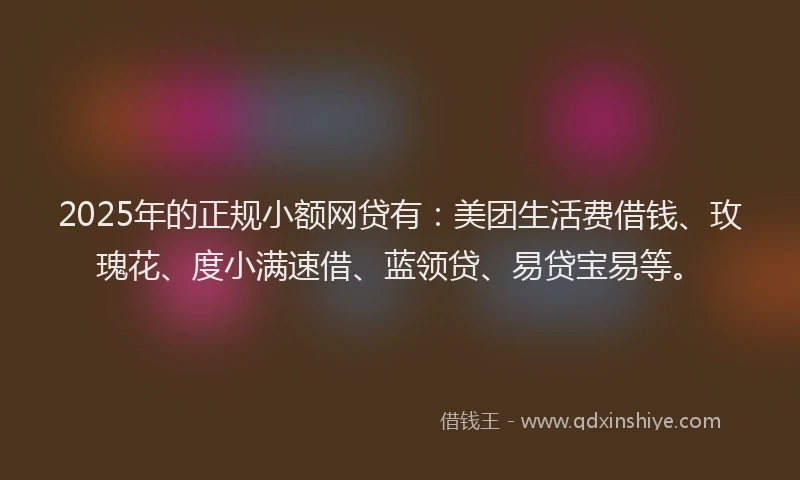 2025年的正规小额网贷有：美团生活费借钱、玫瑰花、度小满速借、蓝领贷、易贷宝易等。