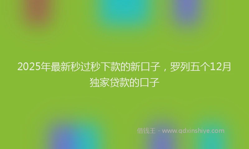 2025年最新秒过秒下款的新口子,罗列五个12月独家贷款的口子
