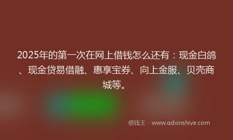 2025年的第一次在网上借钱怎么还有：现金白鸽、现金贷易借融、惠享宝券、向上金服、贝壳商城等。