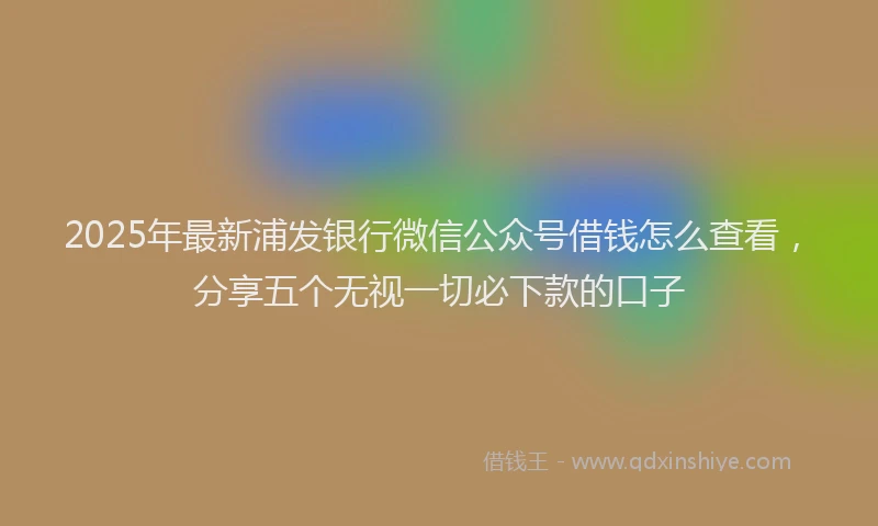 2025年最新浦发银行微信公众号借钱怎么查看，分享五个无视一切必下款的口子