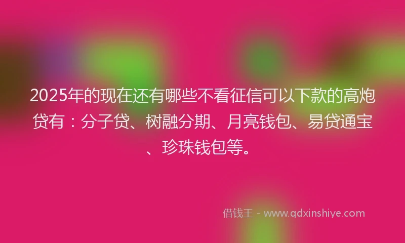 2025年的现在还有哪些不看征信可以下款的高炮贷有：分子贷、树融分期、月亮钱包、易贷通宝、珍珠钱包等。