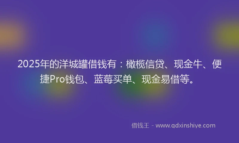 2025年的洋城罐借钱有：橄榄信贷、现金牛、便捷Pro钱包、蓝莓买单、现金易借等。