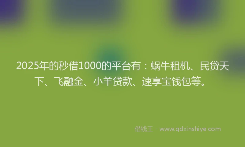 2025年的秒借1000的平台有：蜗牛租机、民贷天下、飞融金、小羊贷款、速享宝钱包等。