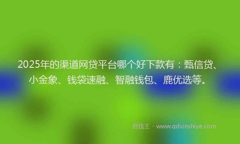2025年的渠道网贷平台哪个好下款有：甄信贷、小金象、钱袋速融、智融钱包、鹿优选等。