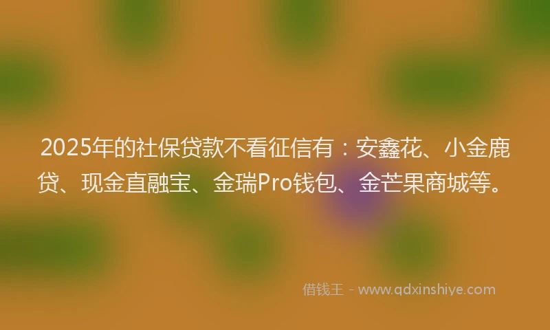 2025年的社保贷款不看征信有：安鑫花、小金鹿贷、现金直融宝、金瑞Pro钱包、金芒果商城等。