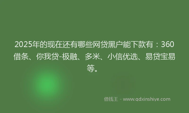2025年的现在还有哪些网贷黑户能下款有：360借条、你我贷-极融、多米、小信优选、易贷宝易等。