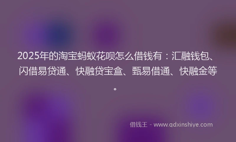 2025年的淘宝蚂蚁花呗怎么借钱有：汇融钱包、闪借易贷通、快融贷宝盒、甄易借通、快融金等。