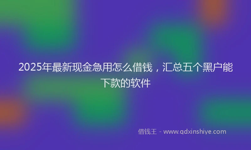 2025年最新现金急用怎么借钱，汇总五个黑户能下款的软件