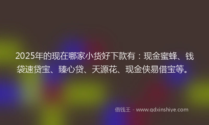 2025年的现在哪家小货好下款有：现金蜜蜂、钱袋速贷宝、臻心贷、天源花、现金侠易借宝等。