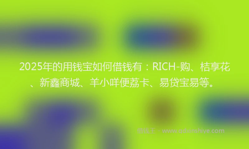 2025年的用钱宝如何借钱有：RICH-购、桔享花、新鑫商城、羊小咩便荔卡、易贷宝易等。