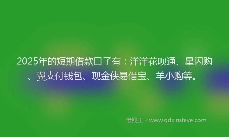2025年的短期借款口子有：洋洋花呗通、星闪购、翼支付钱包、现金侠易借宝、羊小购等。