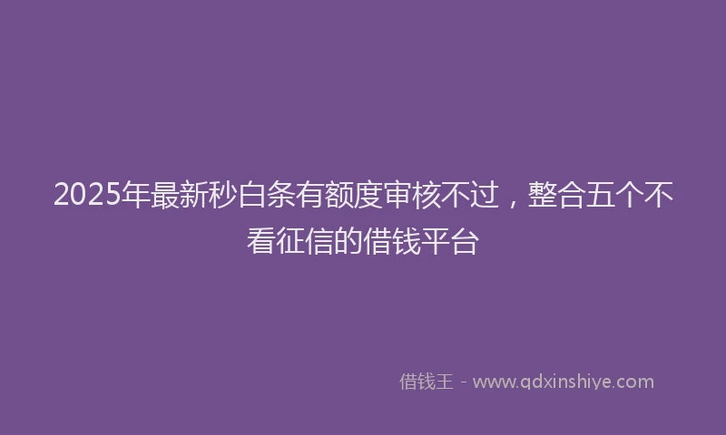 2025年最新秒白条有额度审核不过，整合五个不看征信的借钱平台