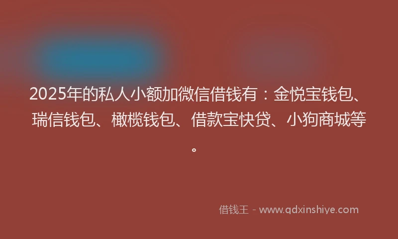 2025年的私人小额加微信借钱有：金悦宝钱包、瑞信钱包、橄榄钱包、借款宝快贷、小狗商城等。