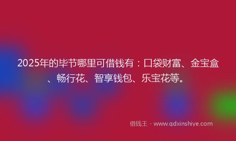 2025年的毕节哪里可借钱有：口袋财富、金宝盒、畅行花、智享钱包、乐宝花等。