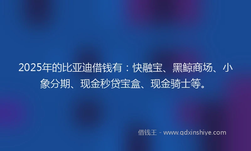 2025年的比亚迪借钱有：快融宝、黑鲸商场、小象分期、现金秒贷宝盒、现金骑士等。