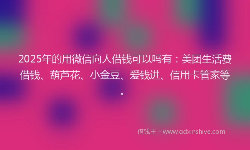 2025年的用微信向人借钱可以吗有：美团生活费借钱、葫芦花、小金豆、爱钱进、信用卡管家等。