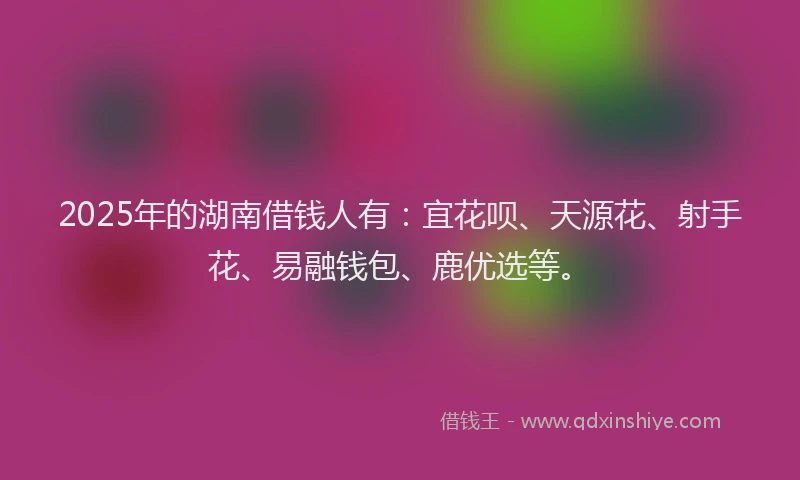 2025年的湖南借钱人有：宜花呗、天源花、射手花、易融钱包、鹿优选等。