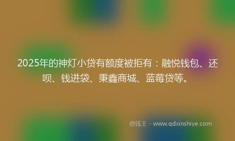 2025年的神灯小贷有额度被拒有：融悦钱包、还呗、钱进袋、秉鑫商城、蓝莓贷等。