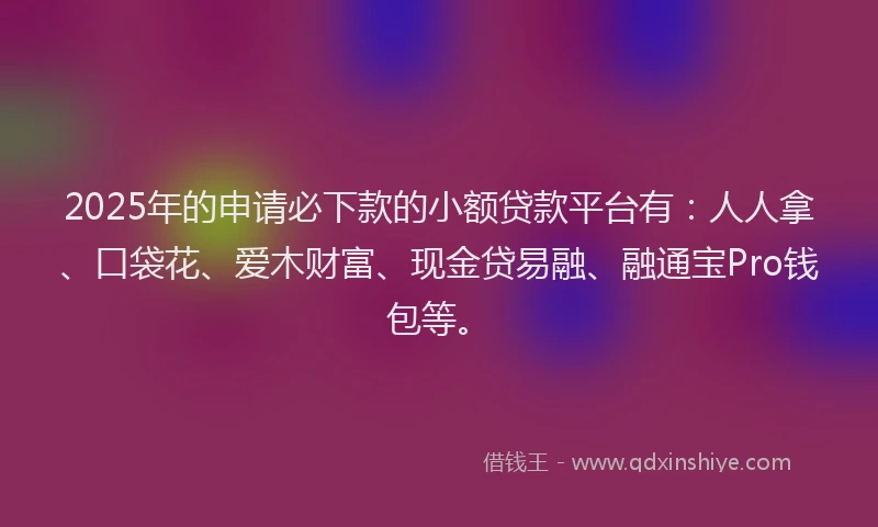 2025年的申请必下款的小额贷款平台有：人人拿、口袋花、爱木财富、现金贷易融、融通宝Pro钱包等。