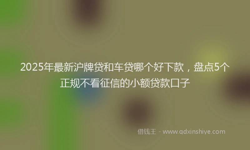 2025年最新沪牌贷和车贷哪个好下款，盘点5个正规不看征信的小额贷款口子