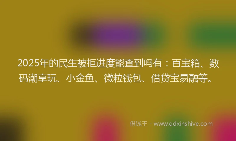 2025年的民生被拒进度能查到吗有：百宝箱、数码潮享玩、小金鱼、微粒钱包、借贷宝易融等。